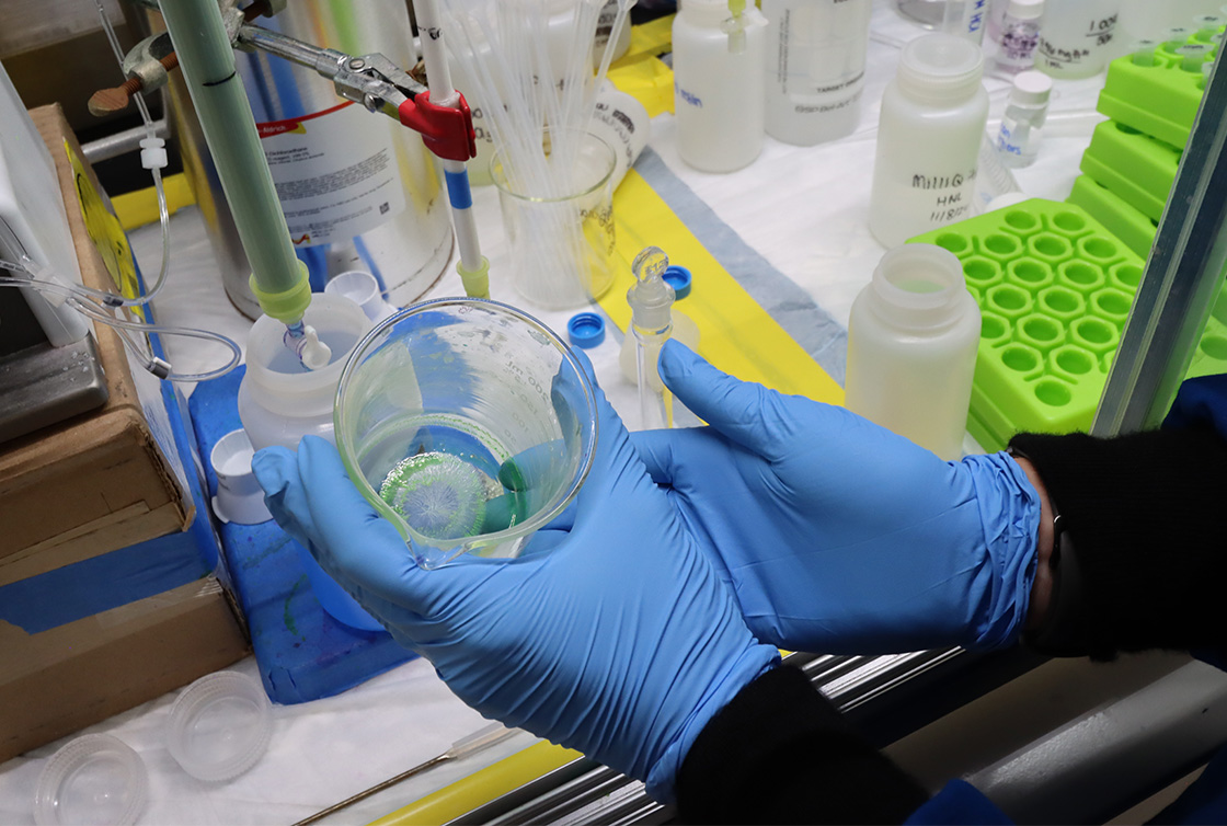 FRIB scientist harvesting isotopes