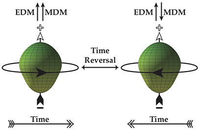 Physicists theorize that a time-reversal violation is the key ingredient needed to unravel the cosmic mystery of missing antimatter. Such time-reversal violating forces result in a property in particles called a permanent electric dipole moment (EDM). The pear-shaped nucleus radium-225 (shown above) amplifies the observable EDM and improves the sensitivity of EDM searches. (Credit: Jaideep Taggart Singh, Facility for Rare Isotope Beams)