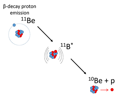 Three nuclei are shown as collections of blue orbs (neutrons) and red orbs (protons). A scheme shows beryllium-11’s core with 10 protons and neutrons being orbited by a single neutron, forming a halo nucleus. This nucleus goes through beta-decay proton emission, first becoming boron-11 (shown in an excited state denoted as 11B*), then beryllium-10 plus a proton.