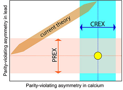 The figure shows the tension between the results of CREX and PREX measurements and the predictions of current global models. The experimental mean values of asymmetry are marked by dotted lines. The errors are marked by bands. Theoretical predictions should be at the intersection of CREX and PREX results (marked by a dot). The trend of theoretical predictions (with uncertainties marked with a brown band) bypasses this intersection. The models, which are made consistent with PREX data, dramatically underestimate the CREX value and vice versa. 